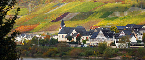 German Vineyards